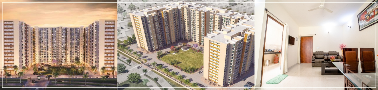 Sahu City Lucknow-about-img