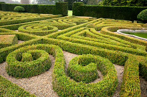 Sahu City Lucknow-Theme-Garden